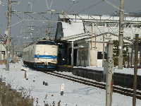 419���ż֥��ꥸ�ʥ���Ƭ��