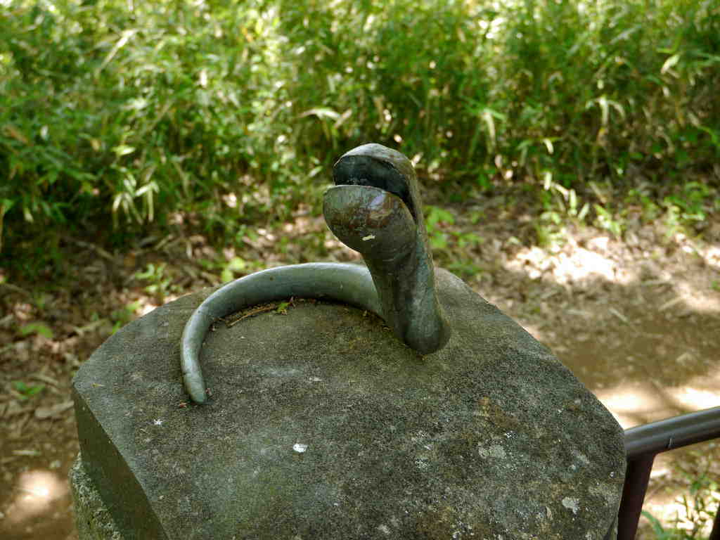 �֏�����