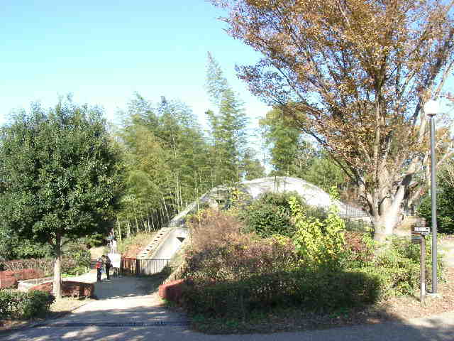 TAKAMATSUDUKA.ASUKA.NARA