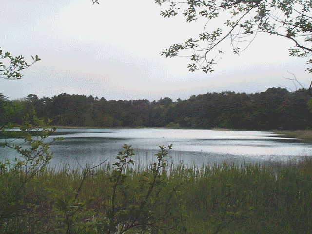 GOSHIKINUMA.FUKUSHIMA